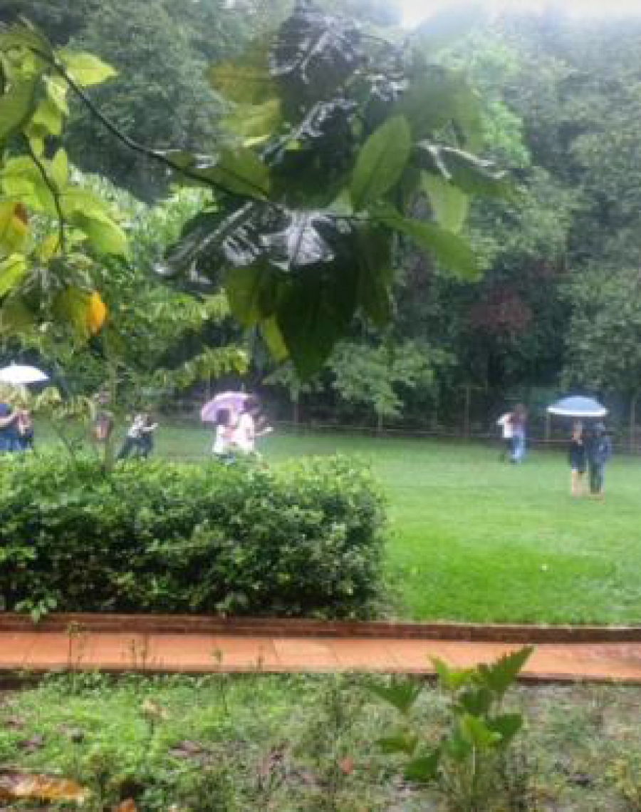 OUTDOOR CLASSROOM DAY - Aula ao Ar livre